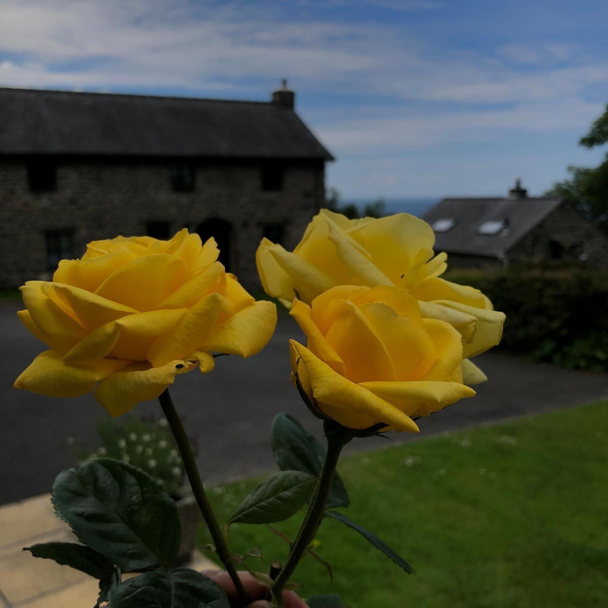 The Old Farmhouse B&B Dyffryn Ardudwy Luaran gambar