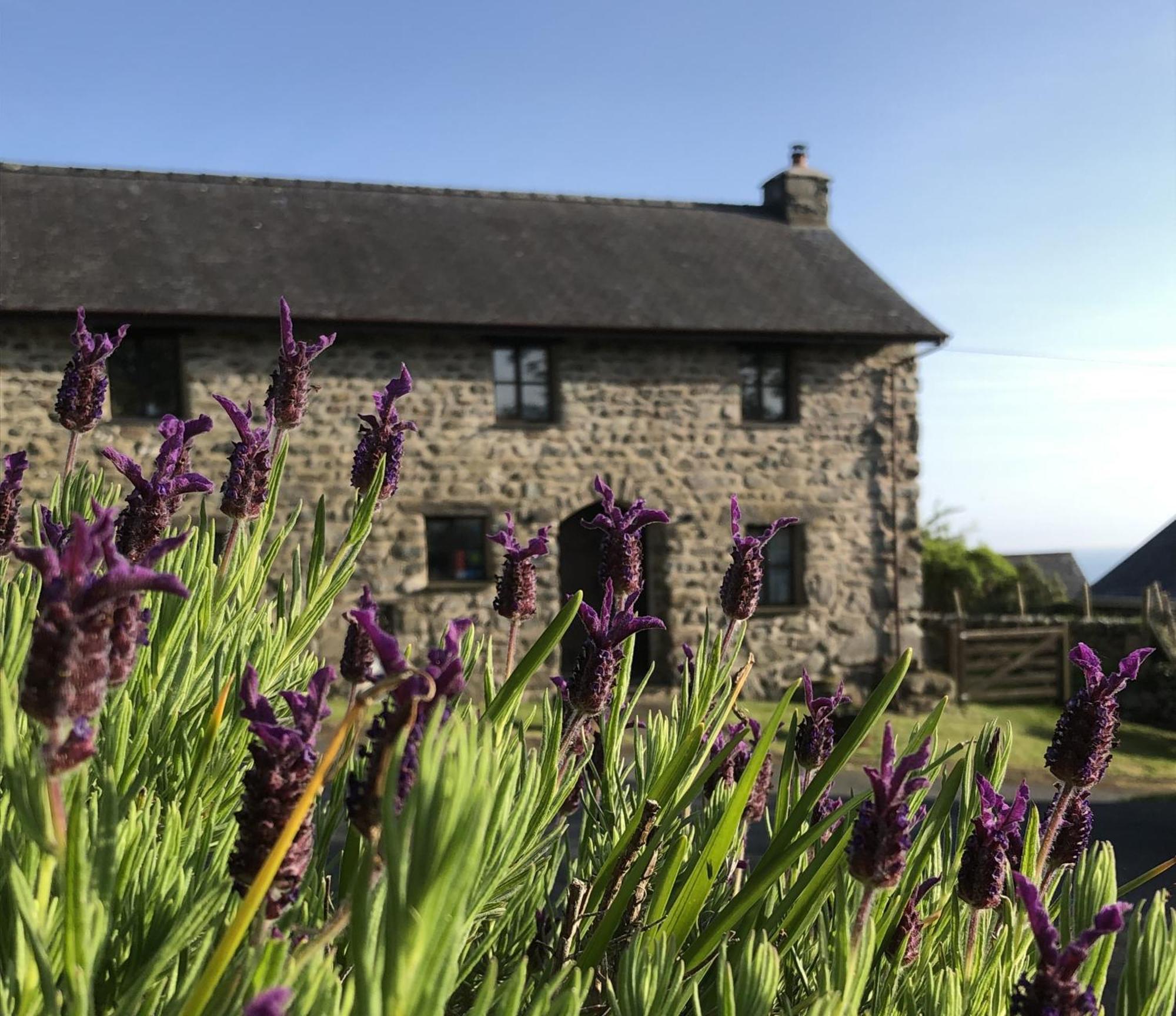 The Old Farmhouse B&B Dyffryn Ardudwy Luaran gambar
